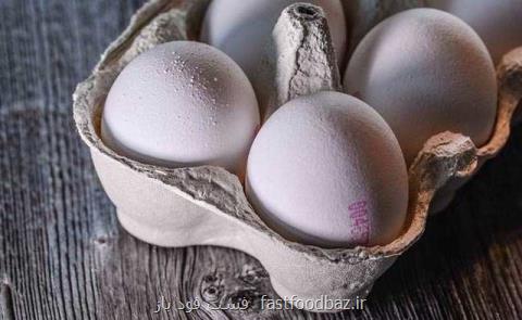 سفارش کارشناسان به مصرف روزانه تخم مرغ