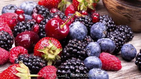 مطالعات نشان می دهد؛ تاثیر مصرف توت و انگور بر تقویت سلامت ریه ها