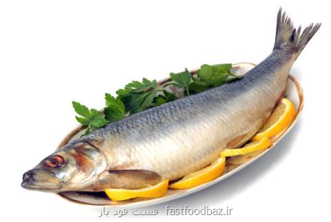 تحقیق جدید نشان می دهد؛ مصرف ماهی باعث افزایش قدرت باروری می گردد