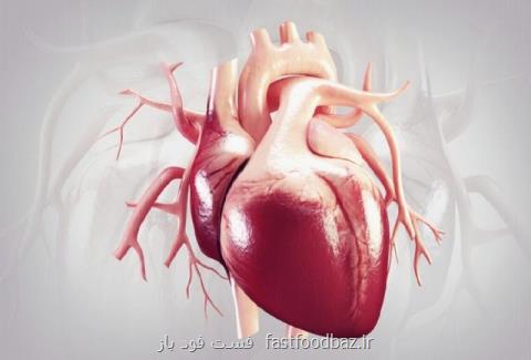 ساخت دستگاه کمکی پمپاژ خون برای بیماران قلبی