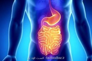 تاثیر یک افزودنی غذایی پرمصرف بر سلامت روده