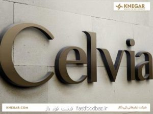 طراحی لوگو تاثیر گذار در سایت و بسته بندی