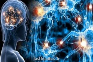 مطالعات نشان می دهد؛ اهمیت مواد غذایی حاوی آنتی اکسیدان برای زنان مبتلا به ام اس