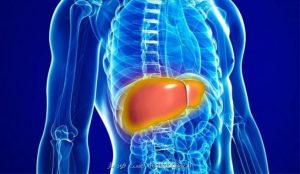 بیماری کبد چرب قابل درمان است؟