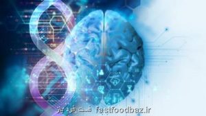 در گفت وگو با فست فود باز به مناسبت روز جهانی آلزایمر اعلام شد اقدام پژوهشگران کشور برای ساخت سنسور شناسایی زودرس آلزایمر