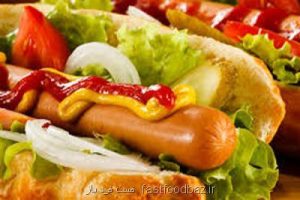 معاون غذا و دارو دانشگاه علوم پزشکی ایران مطرح کرد؛ تغذیه ناسالم علت ۲۰ درصد مرگ ها