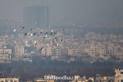 یک پژوهشگر طب سنتی در گزارش فست فود باز : راهکارهای مقابله با آلودگی هوا