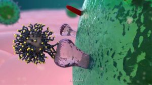 توسعه مواد ضد ویروسی جدید برای مقابله با کرونا ویروس