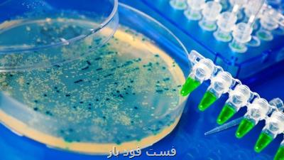 موفقیت پژوهشگران کشور در بومی سازی تکنیک تشخیص بیماری شبه سل