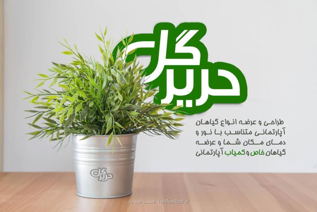 چند ترفند برای خوشگلاسیون منزل با گیاهان آپارتمانی