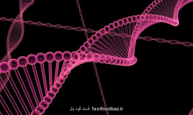 با تلاش پژوهشگران آمریکایی صورت می گیرد تشخیص بموقع سرطان ریه با کمک یادگیری ماشینی