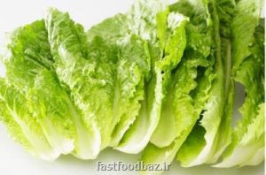 یافته جدید پژوهشی؛ تاثیر پروتئین کاهو در بهبود سریع تر شکستگی استخوان