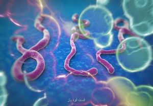 واکسن جهانی ابولا ساخته شد