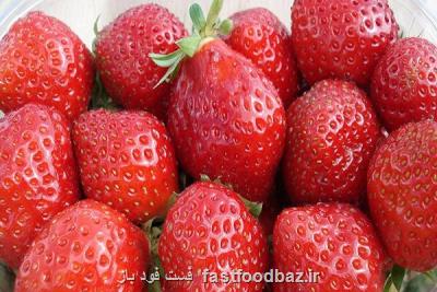 مطالعات نشان می دهد؛ فواید حفاظتی مصرف توت و سیب و چای در مقابل آلزایمر