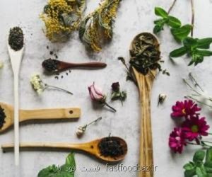 در گزارش فست فود باز عنوان شد؛ مصرف گیاهان دارویی هم با مشورت پزشک باشد