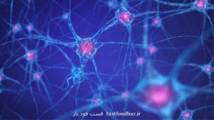 محققان اعلام کردند ویروس کرونا می تواند وارد مغز شود