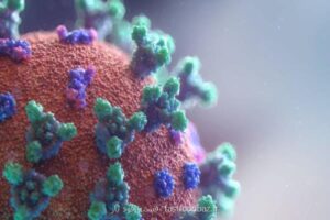 اقدامات نیوزیلند برای مقابله با موج های بعدی شیوع ویروس کرونا