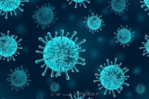 در گفت وگو با فست فود باز تشریح شد ۲ پروتکل مهم برای مقابله با زیرسویه های امیکرون