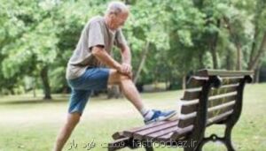 امیدی تازه برای تقویت ماهیچه ها در دوران سالمندی