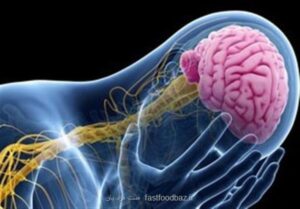 مطالعات نشان می دهد؛ زوال شناختی زودتر در افراد مبتلا به صرع رخ می دهد