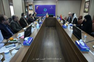 محمدی مطرح كرد؛ آمادگی ایران برای صادرات دارو و تجهیزات پزشکی به ارمنستان