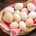 نتایج یک مطالعه جدید؛ خوردن ۱۲ تخم مرغ در هفته سطح کلسترول را افزایش نمی دهد