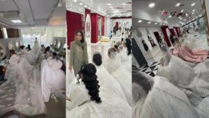 آموزش انواع سبک شینیون مو