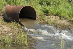 اثر مخرب آلودگی های زیست محیطی در کاهش جمعیت کشور