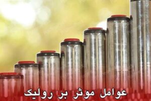 چه عواملی بر قیمت رولیک ها تاثیرگذارند؟