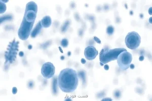 شعار و روزشمار هفته جهانی آگاهی از مقاومت میکروبی سال 1404