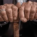 هیجانات، تاب آوری و سرمایه روان شناختی کلیدهای سالمندی سالم